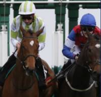 Horse racing.jpg